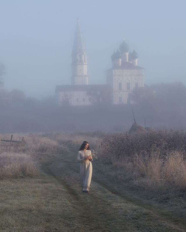 осенево, ярославская область, туманное утро Нежное из Осенево фото превью