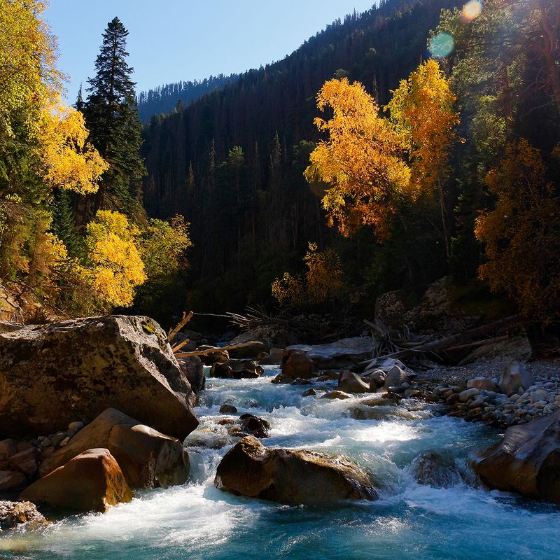 домбай кчр теберда горы гоначхир  фото превью