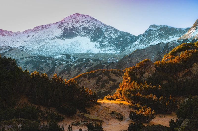 Първите часове фото превью