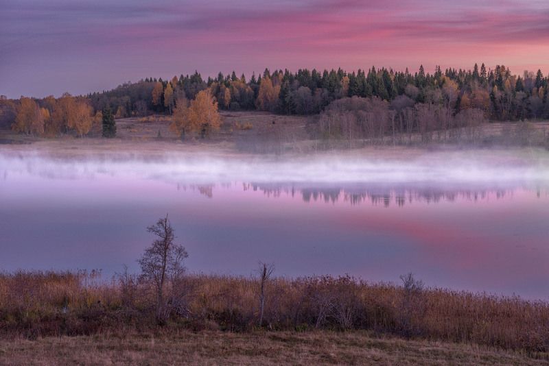 Розовая кисея...  фото превью