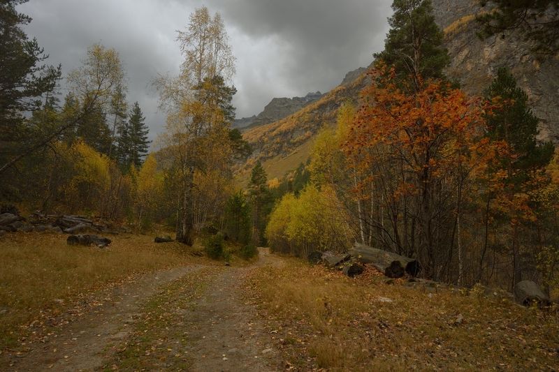 Осень в Узунколе фото превью