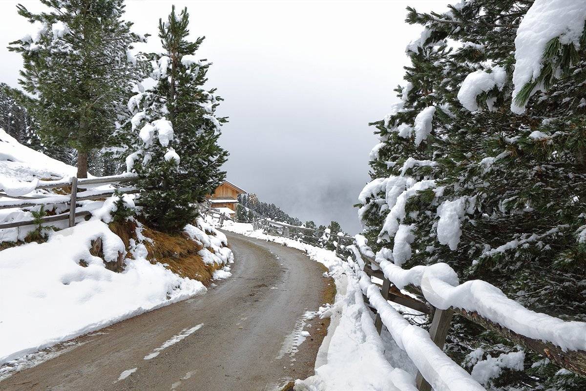 , Игорь Дубровский