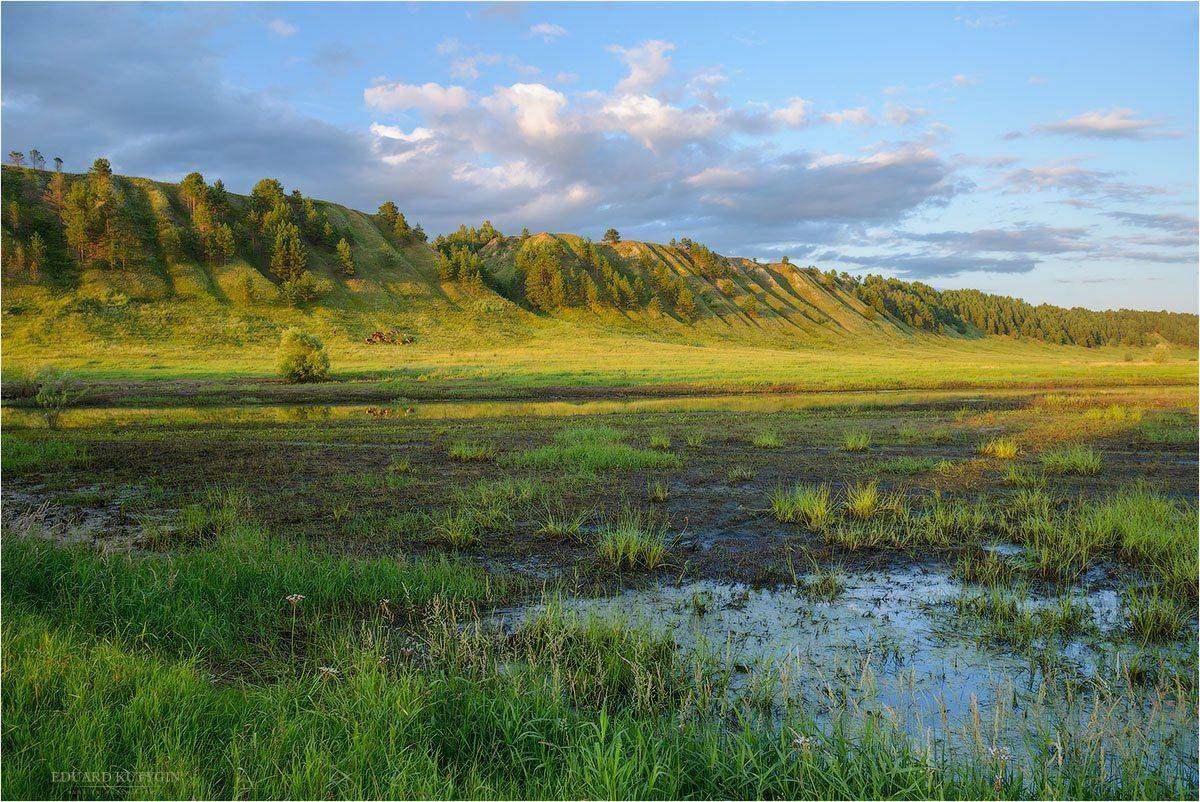 , Кутыгин Эдуард