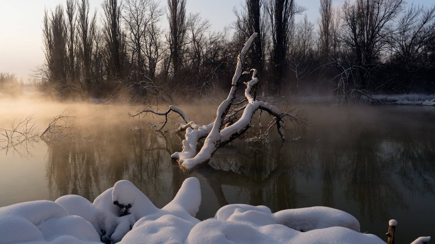 , Alexander Plekhanov
