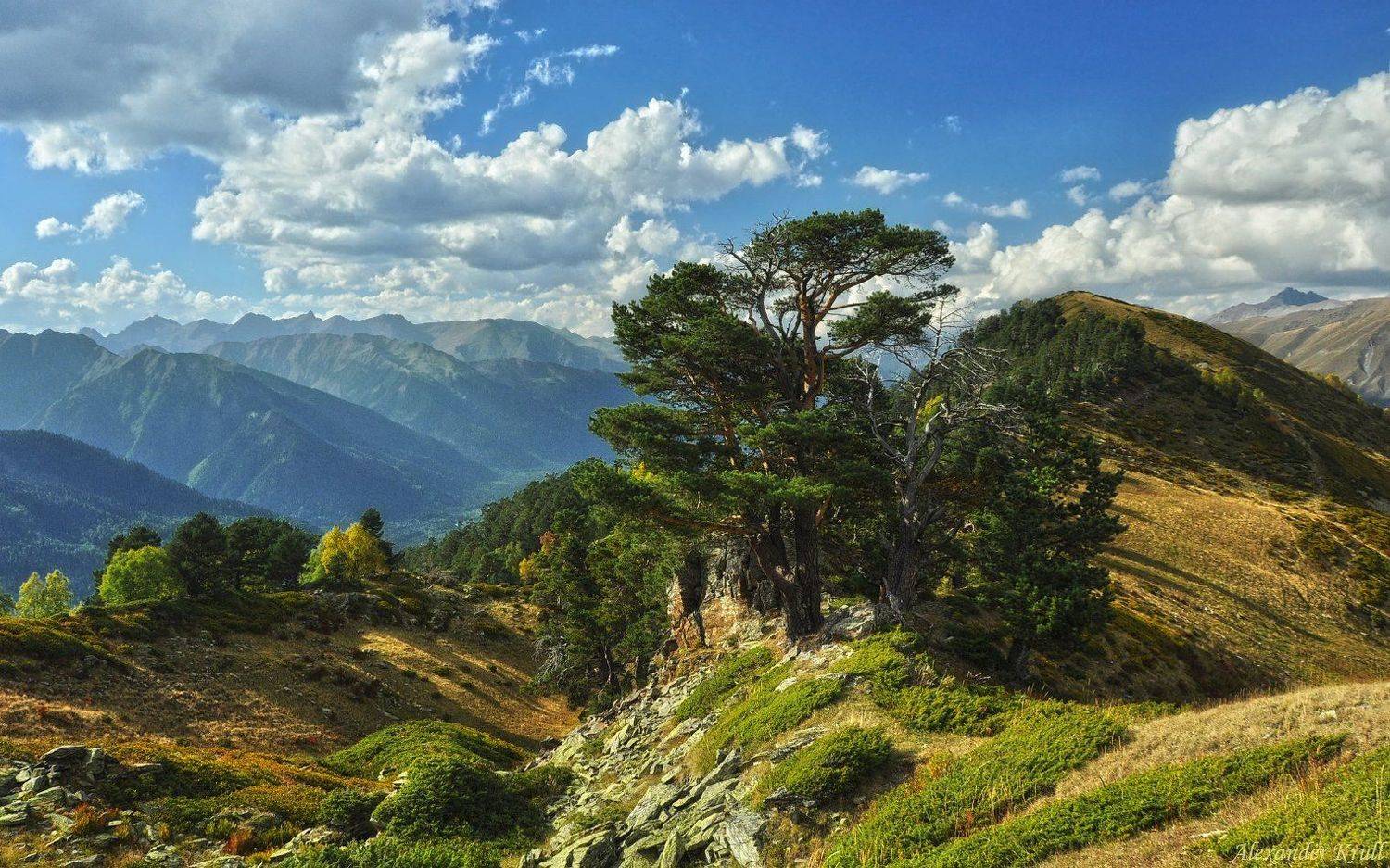 Кавказ, Кчр, Александр Круль