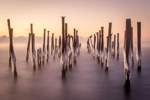 молоко и мед