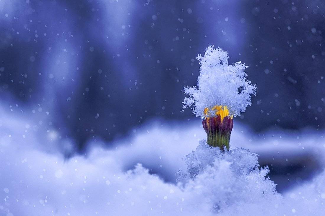 , Анатольевич