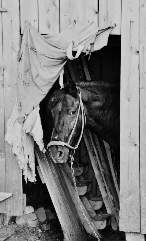 Федор фото превью