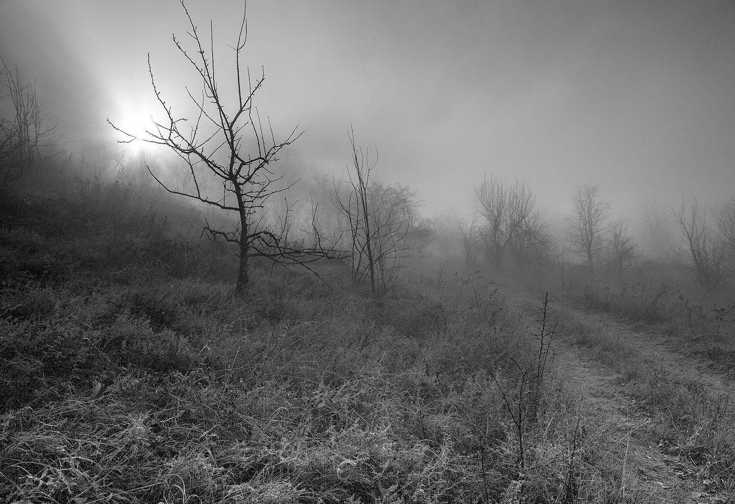 , Валерий Смирнов