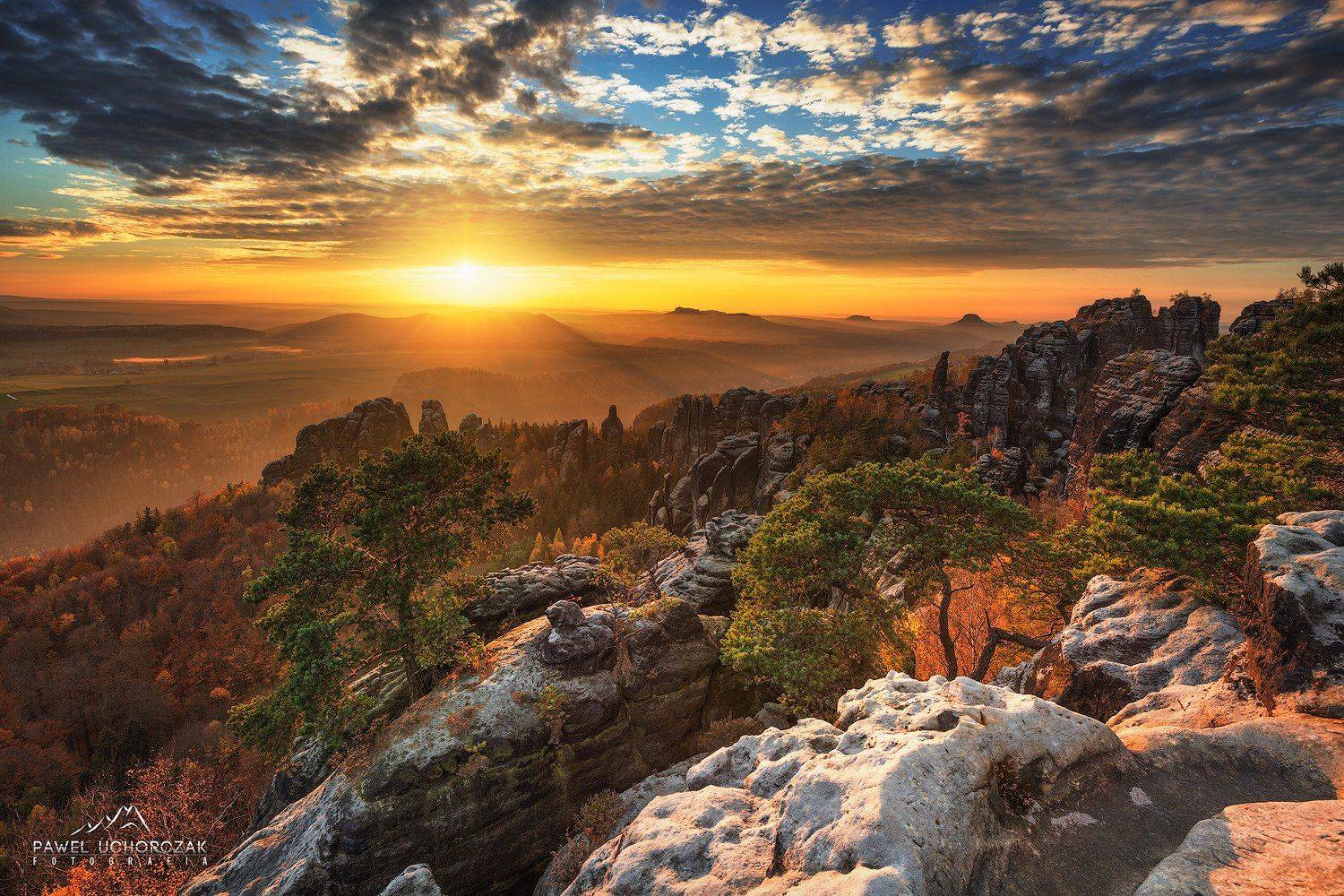 Saxony, Pawel Uchorczak