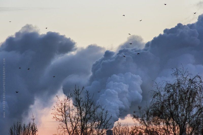вид, облака, небо, дым, закат, цвет, розовый, пейзаж, Россия, Москва, птицы Из окна фото превью