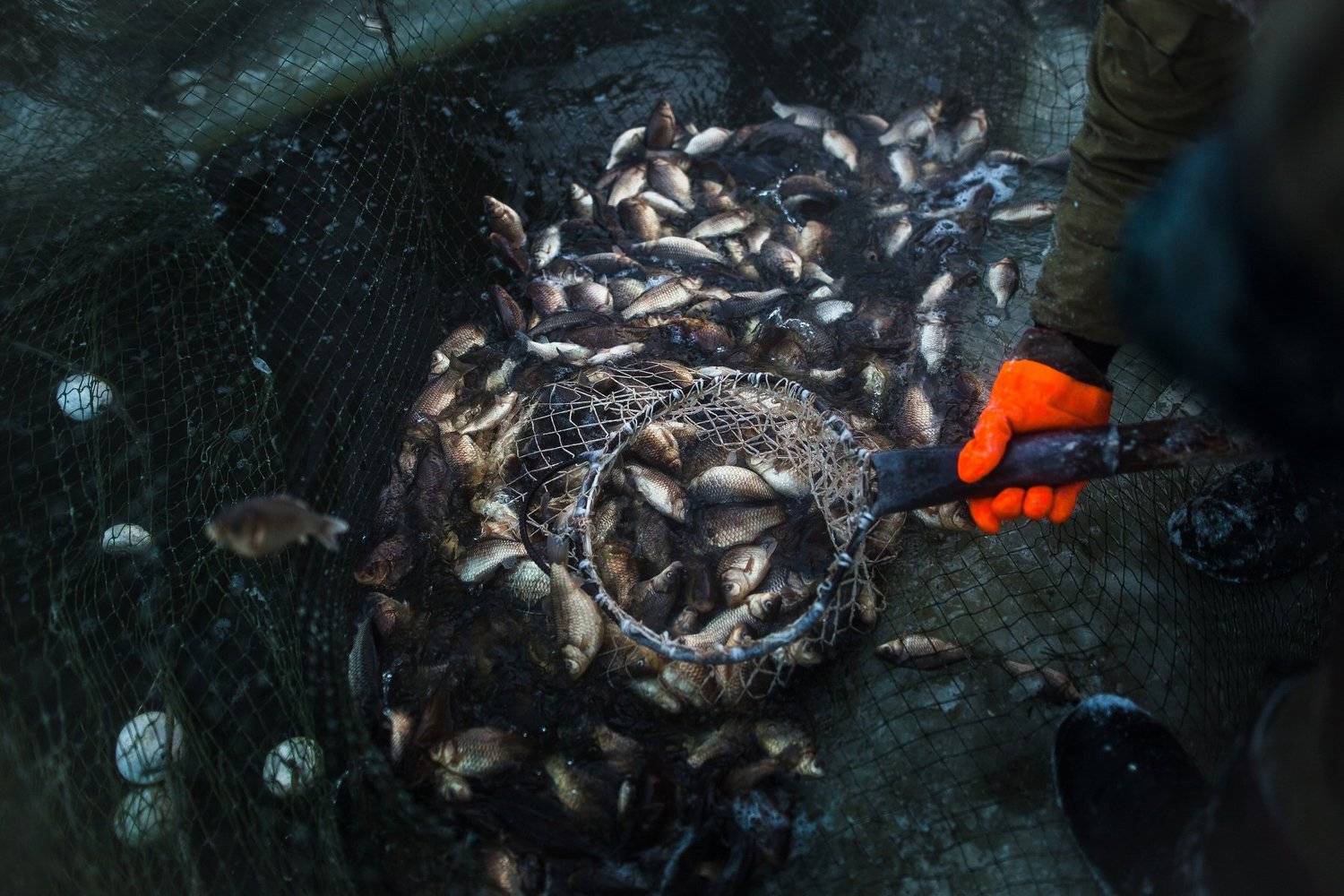 , Ураанхай Жека