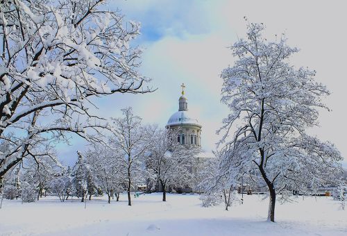 С Новым Годом и Рождеством !