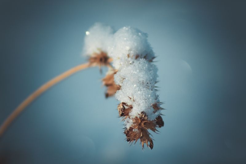 Зимние зарисовки фото превью