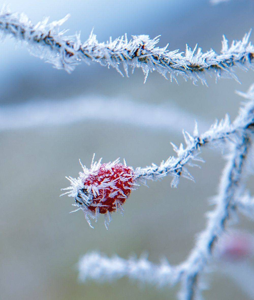 , Валерий Смирнов