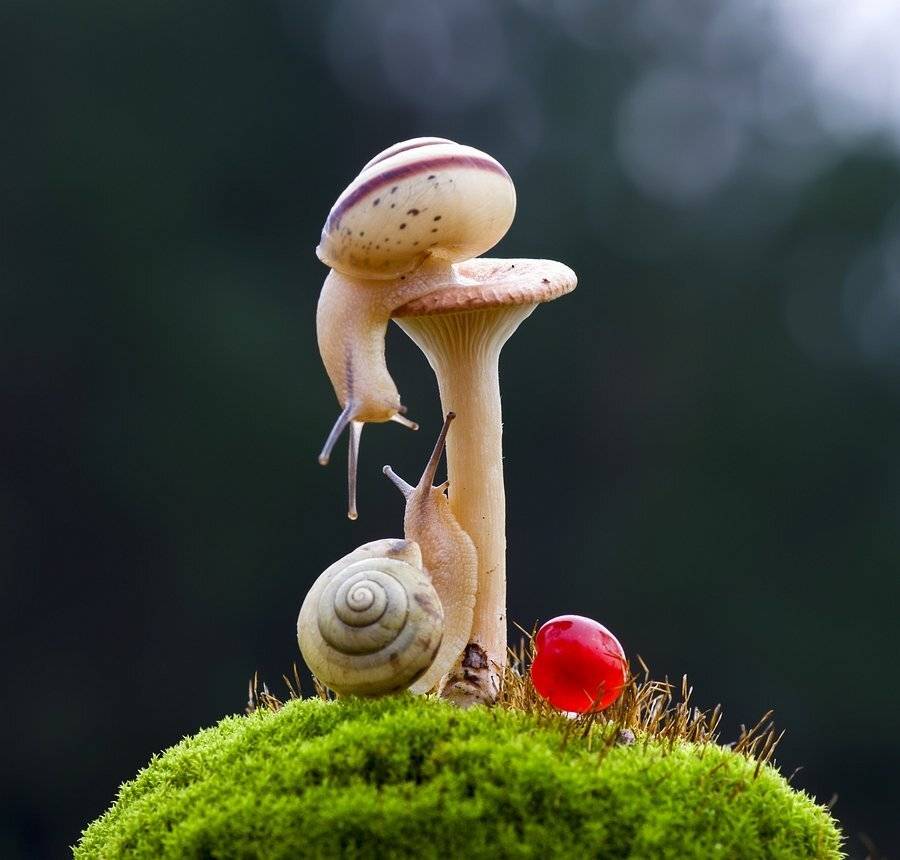 , Анатольевич