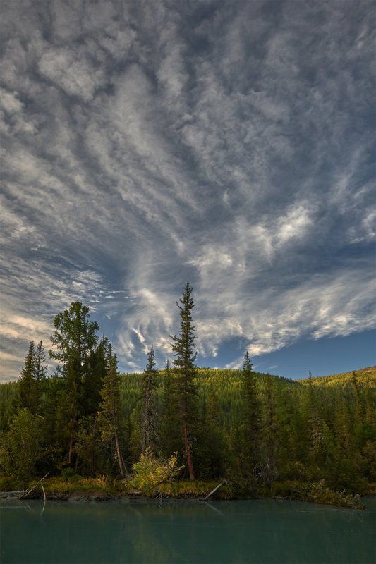 алтай, тайга, плоскогорье укок, коксу, плёс, утро, горнотаежный ландшафт, перисто-кучевые облака Здесь начинается Укок фото превью