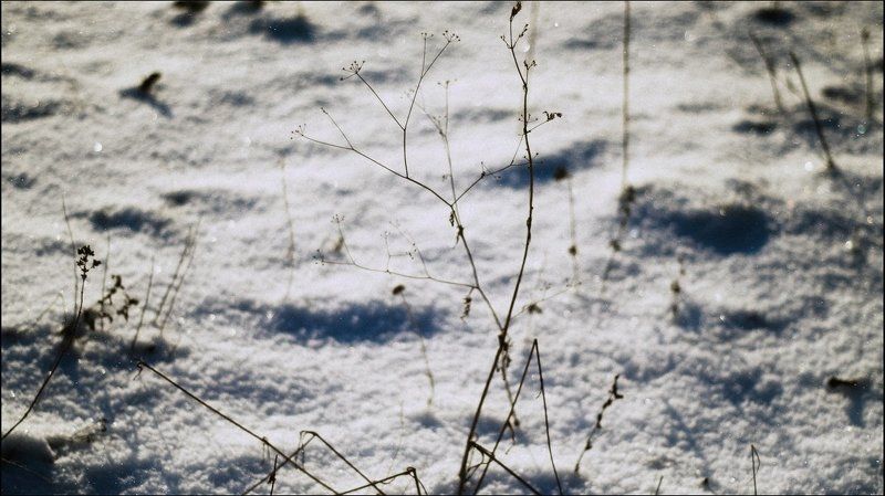 Зимняя графика фото превью