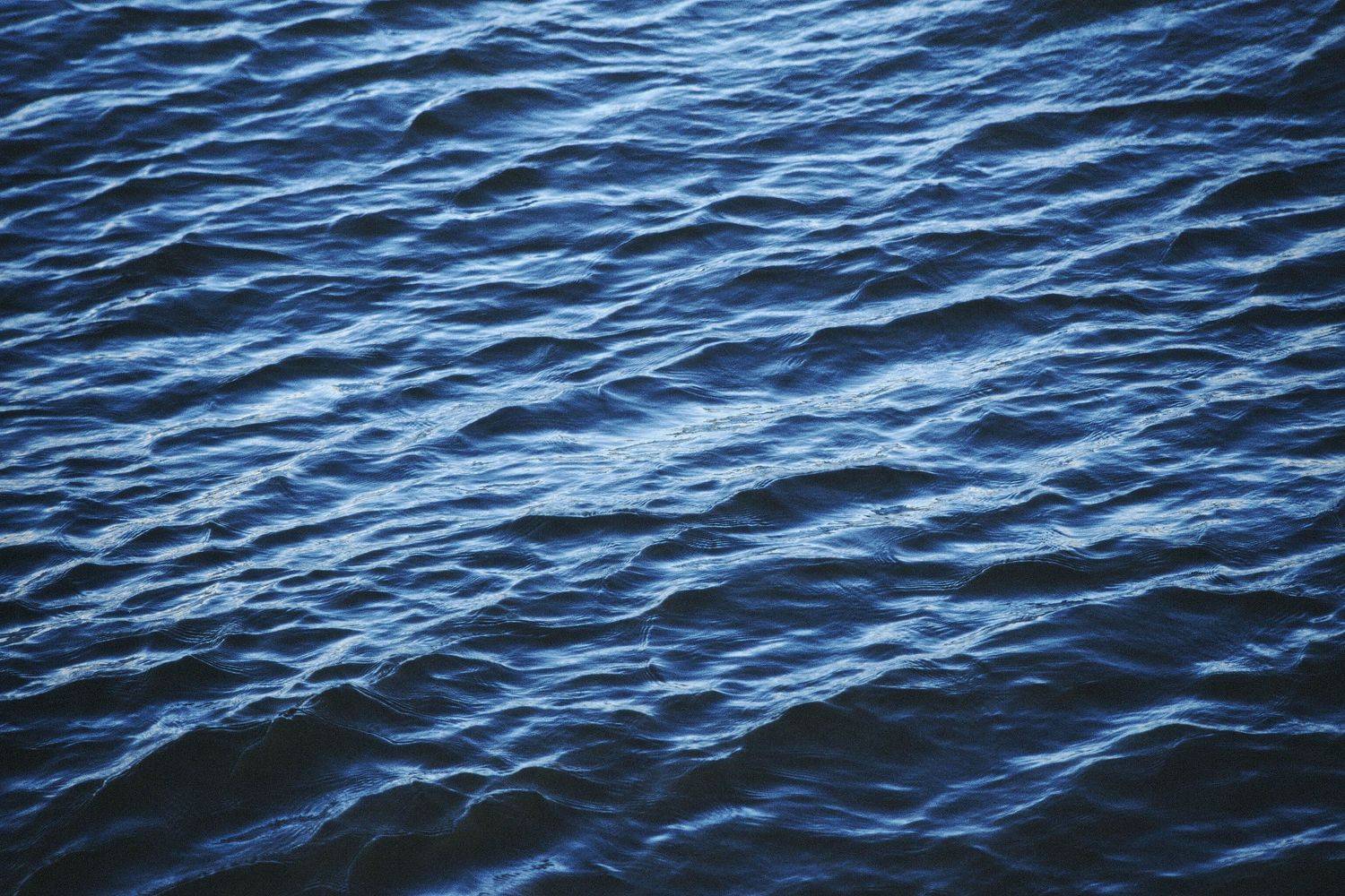 koshkinotime, dmitrysosna, river, sea, ocean, Дмитрий Сосна