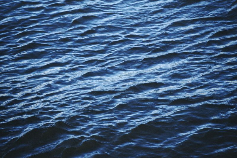 koshkinotime, dmitrysosna, river, sea, ocean Вода фото превью