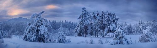 С Новым годом!