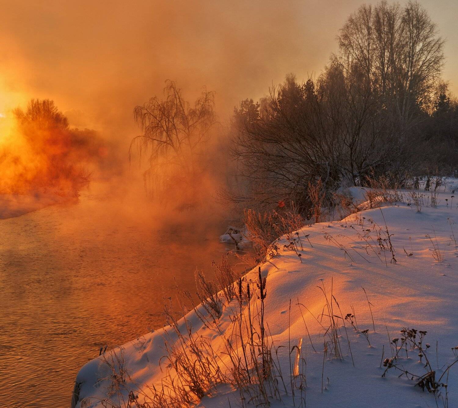 , Олег Богданов