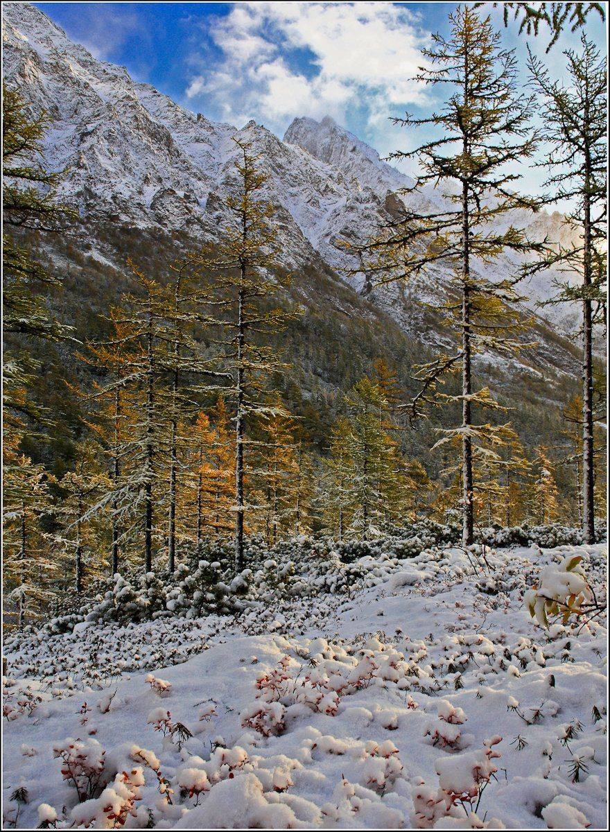 , Виктор Белименко