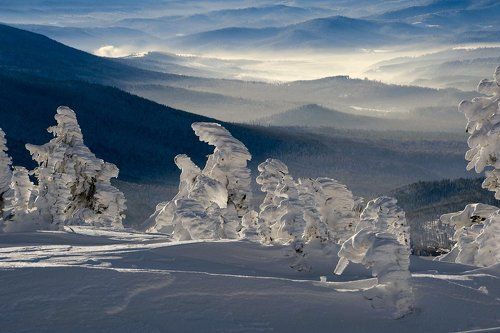 Pro волшебный Шерегешский лес