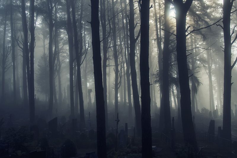 Bечность ... фото превью