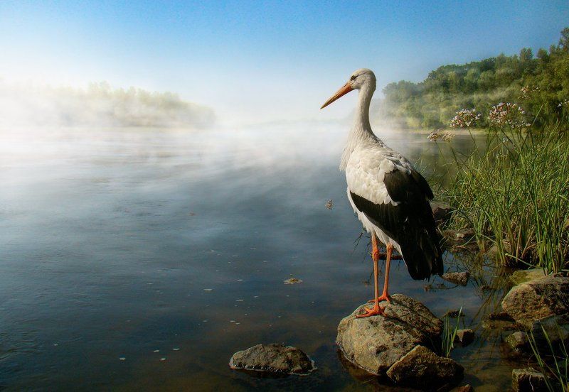 Провожая рассветы фото превью