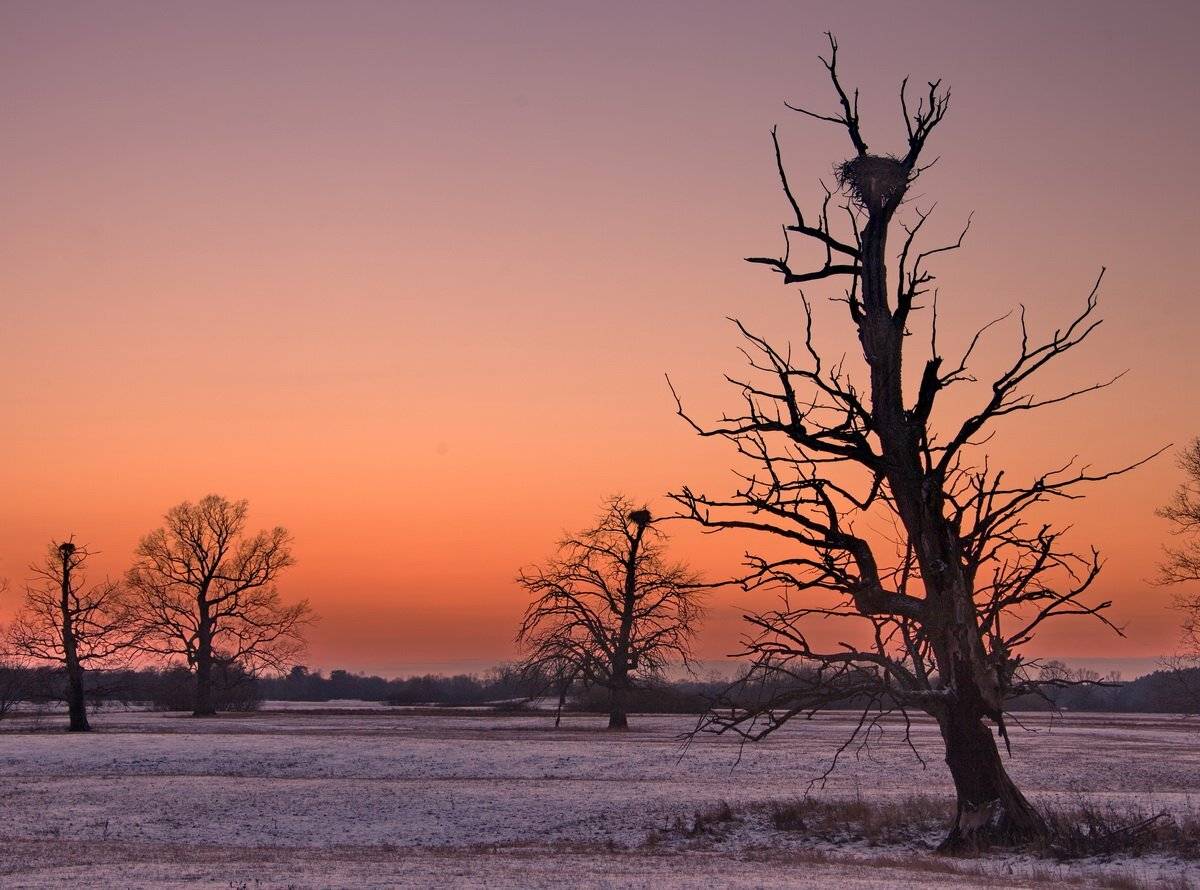 , Валерий Кондратов