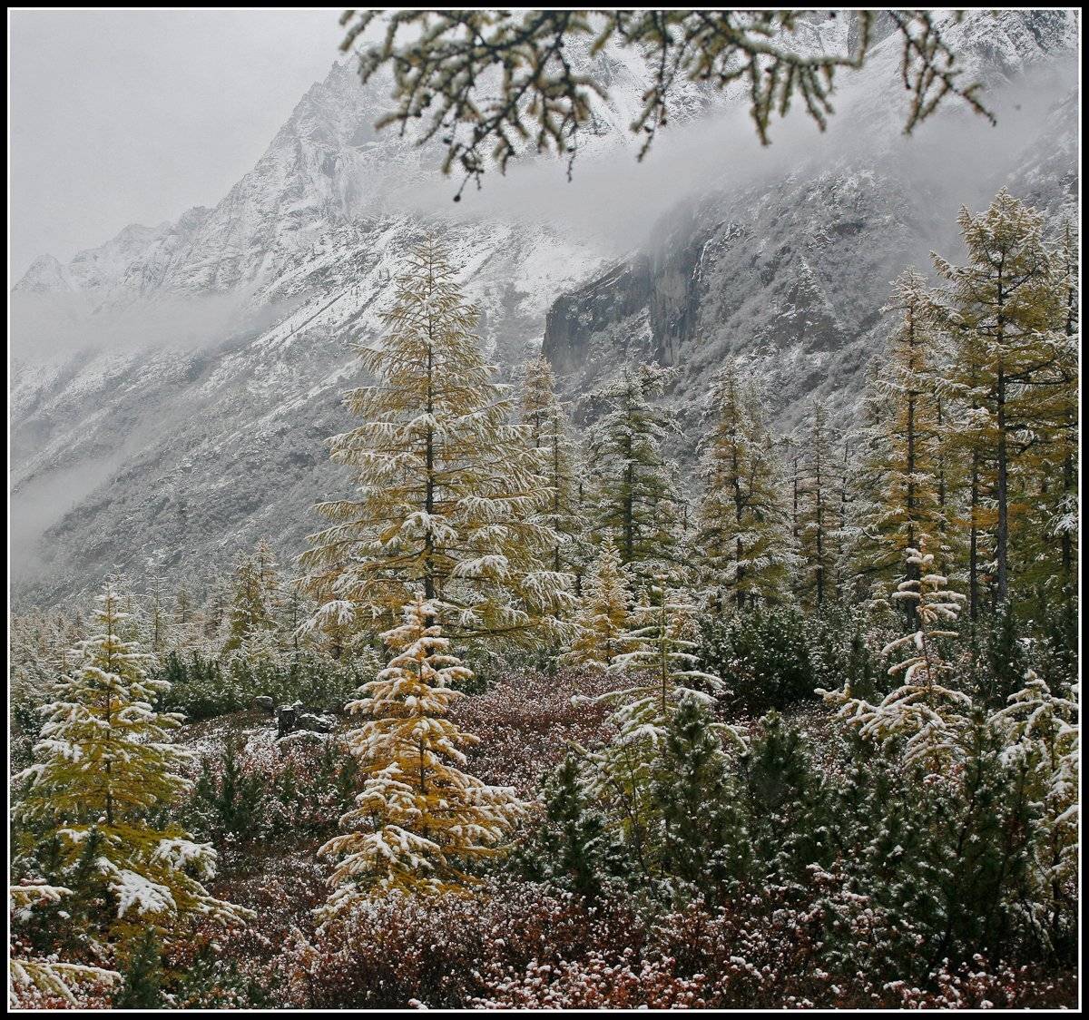 , Виктор Белименко