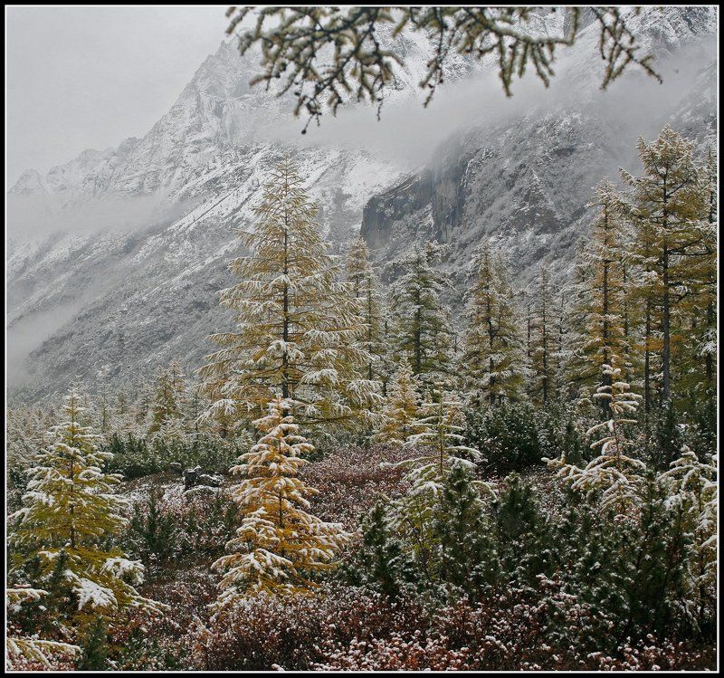 Ранняясеверная осень фото превью
