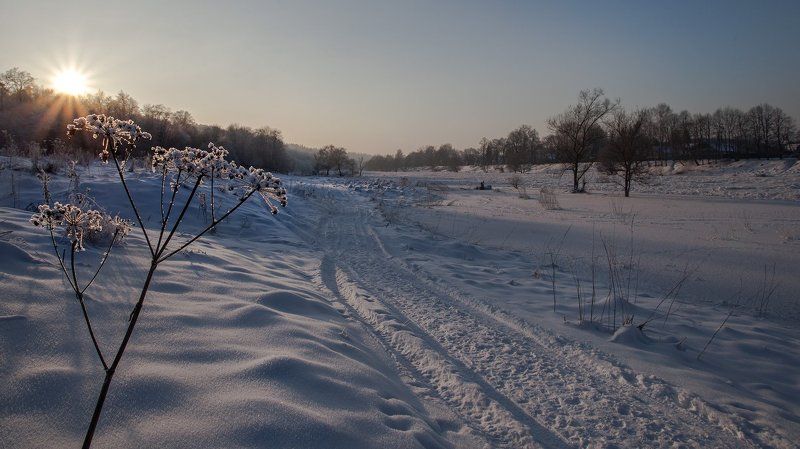 Москва-река, Васильевское, январь. Привет, Зимушка! фото превью