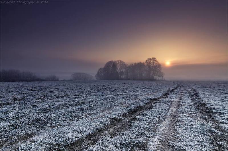 Silence Tells More XI фото превью