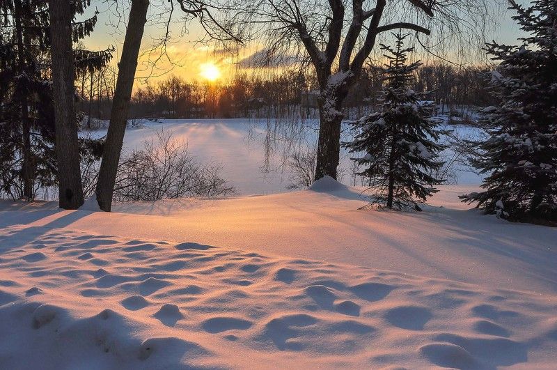 Восход, Деревья, Зима, Лучи, Небо, Пейзаж, Природа, Снег, Солнце Вдоль дороги снег искрится,солнце катится с небес. фото превью