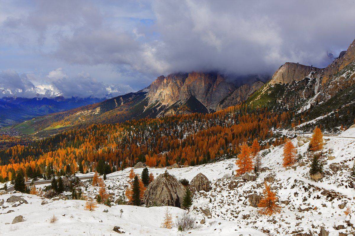 , Игорь Дубровский