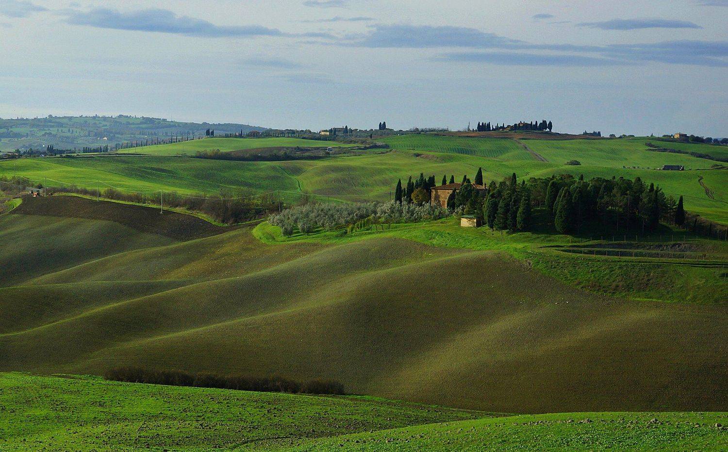 , Петр Косых