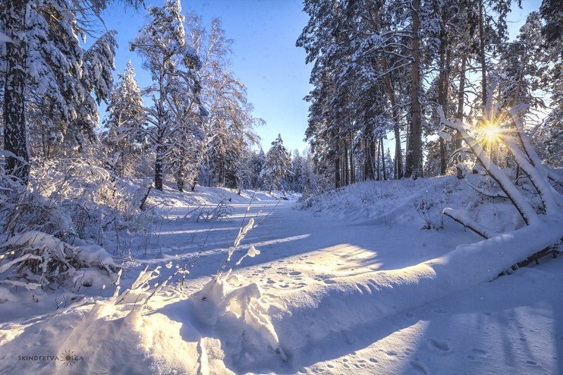 Не страшен нам 30-ти градусный мороз фото превью