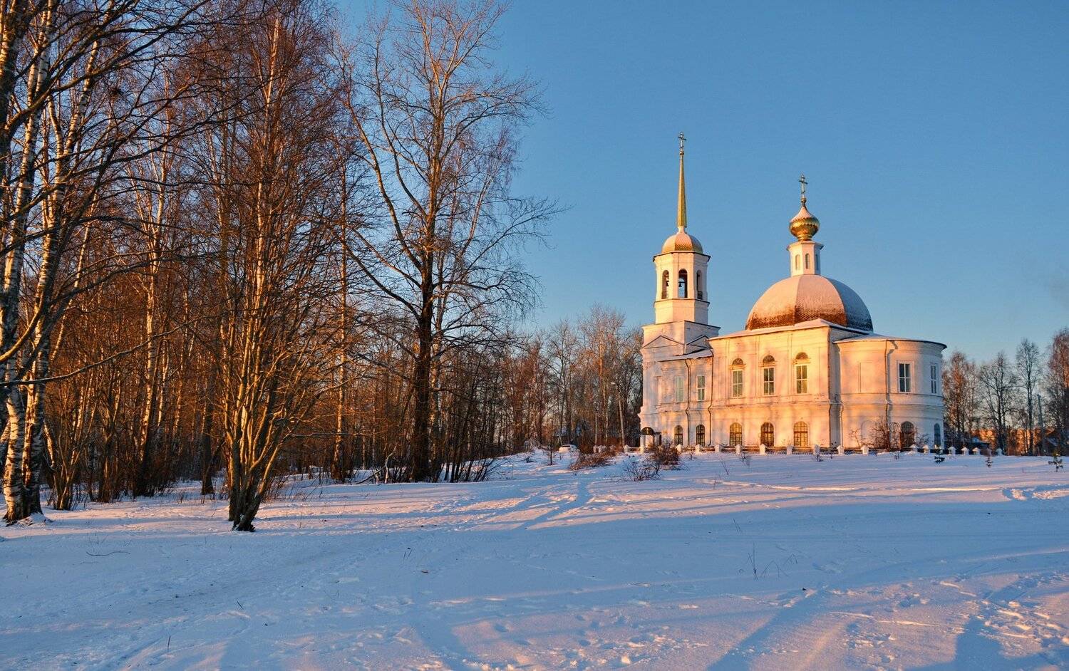 , Марина Никулина