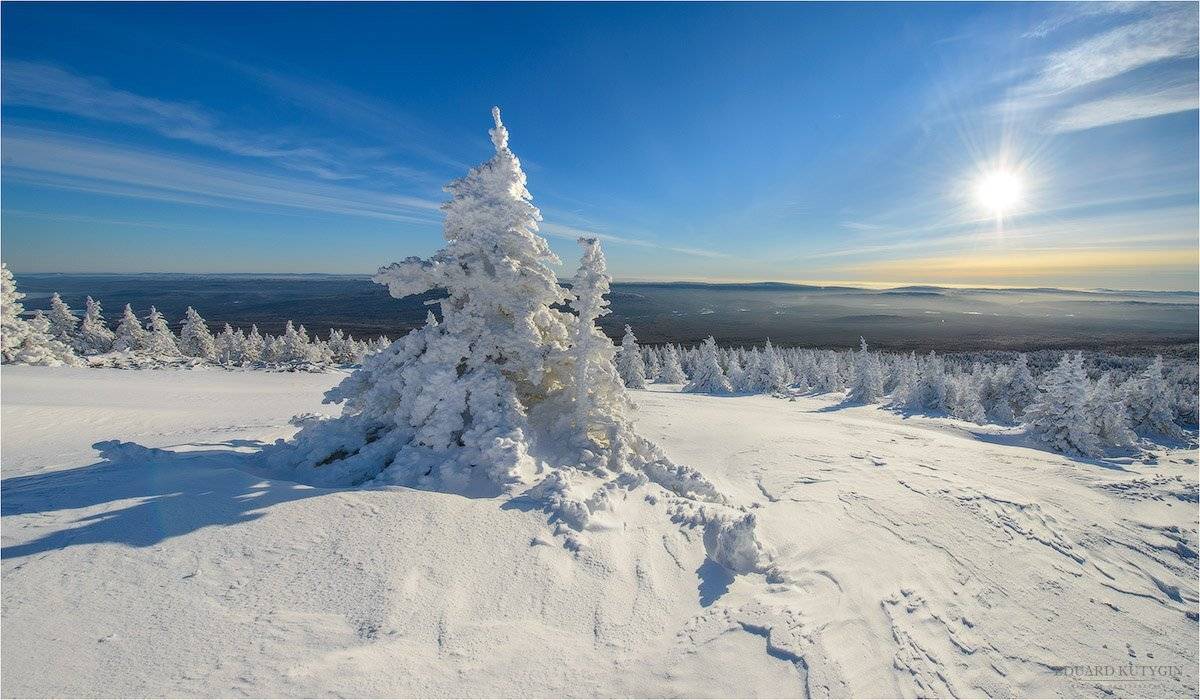 , Кутыгин Эдуард