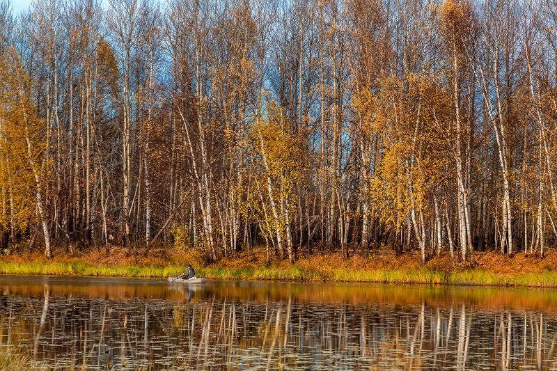 осень, озеро, рыбак, лодка, лес, осень, жёлтый С рыбаком. фото превью