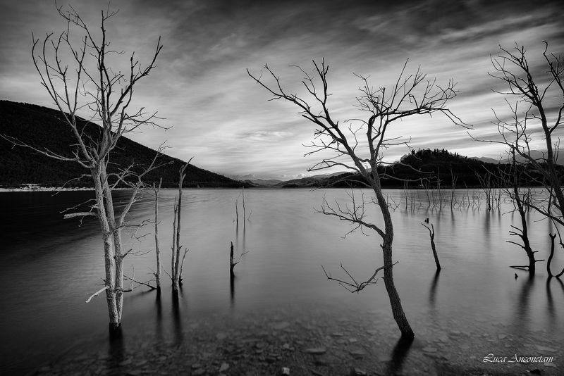 The lake фото превью