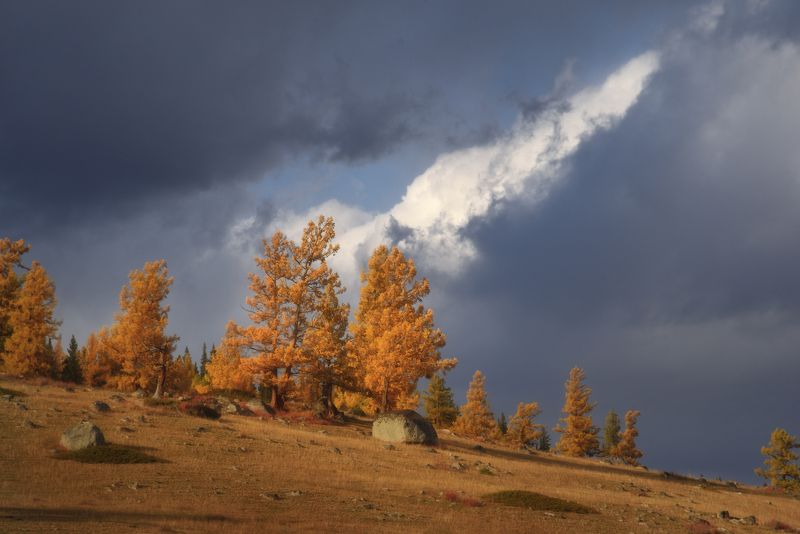 аргут алтай горный алтай джазатор Облачно с прояснениями фото превью
