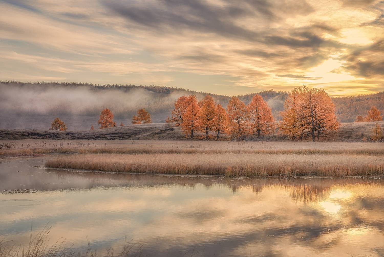 алтай, Гусева Елена