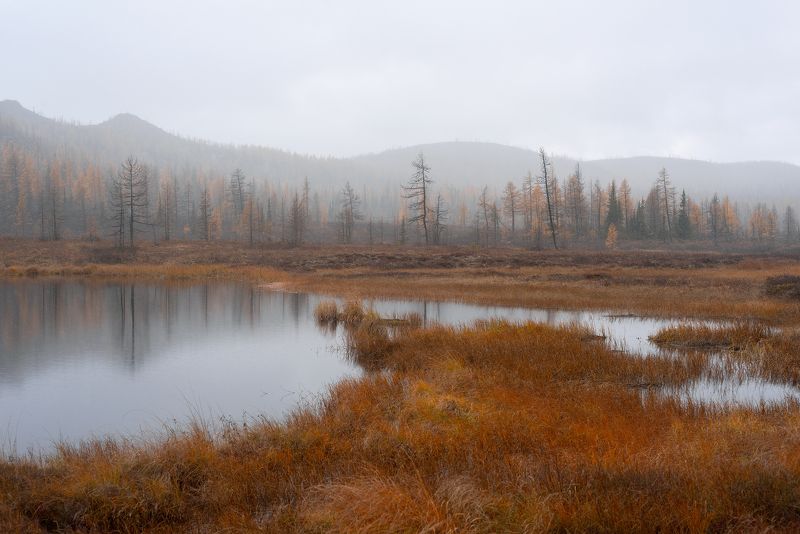 Первый снег на Полярном Урале фото превью