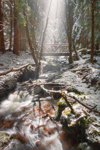 Snowfall