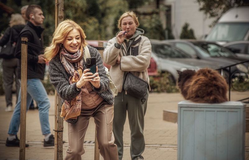 Про город котов фото превью