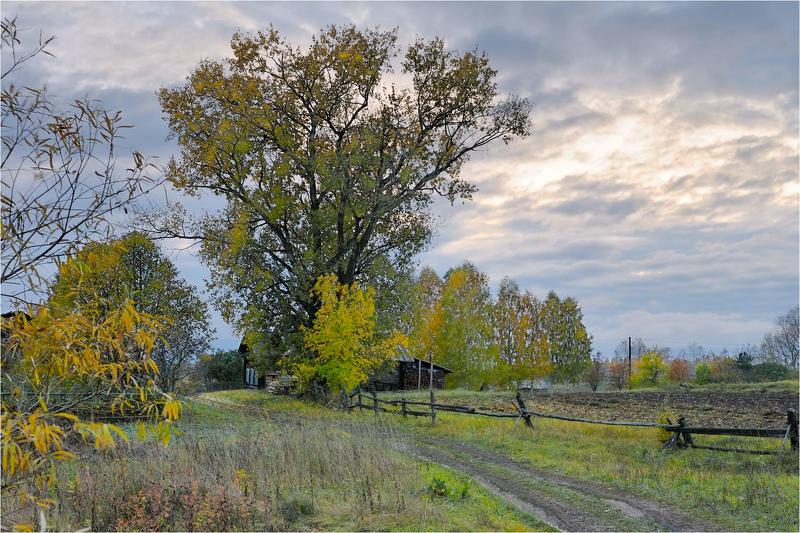 Осенний вечер фото превью