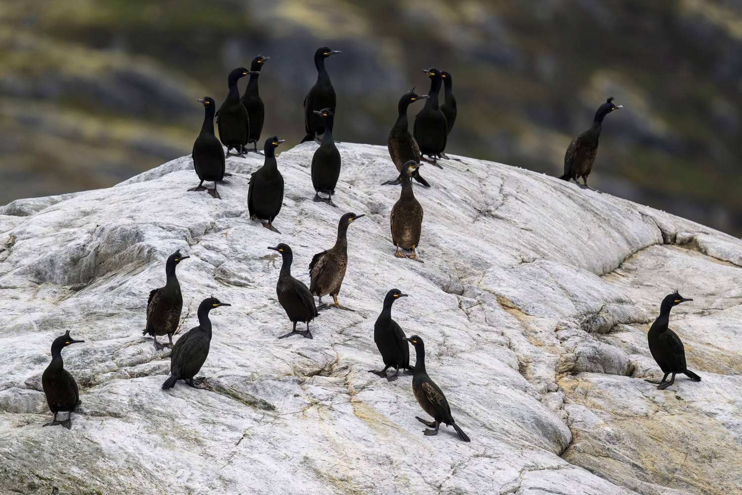 , Пупонин Сергей